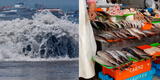 Fuertes olas generan la duplicación del costo del pescado y combustible GLP en Arequipa