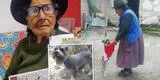 ¡Continúa la búsqueda! Mamita de 103 años no come ni duerme pensando en su perrito Raylu