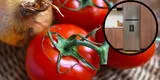 ¿Por qué no es recomendable guardar los tomates en la refrigeradora? Conoce la increíble razón