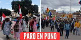 Confirman "paro seco" en Puno desde este 30 de mayo: conoce qué implica esta paralización