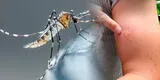 ¿Cuál es la diferencia entre zancudo y dengue?