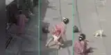 Gato arremete contra mujer que le tiró agua y la arroja al suelo: “Los michis no perdonan”