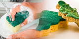 Trucos caseros para evitar bacterias en las esponjas de la cocina