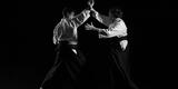Artes marciales:  fanáticos podrán disfrutar de exhibición inédita traída por el gobierno japonés