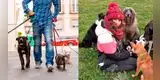 Buscan niñera para sus perros y ofrecen atractivo salario, más de 127 mil dólares al año