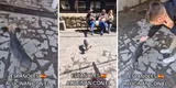 Españoles quedan en 'shock' al encontrarse con un perro peruano en Cusco y es viral: "Alta facha"