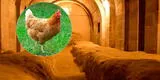 Persecución de gallinas lleva a descubrimiento de ciudad oculta de 2.000 años de antigüedad