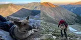 Bailey, el perrito que fue rescatado de una montaña en Colorado tras negarse a bajar con su dueño