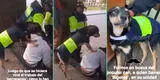 “Fiel a su trabajo”: Conoce al ‘Perrenazgo’, el can que ha enternecido a miles en TikTok por su ardua labor