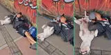 Perrito enternece las redes al dormir junto a su dueño en la calle: “Eso es ser amigos”