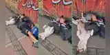 Perrito enternece las redes al dormir junto a su dueño en la calle: “Eso es ser amigos”