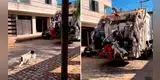 Perrito sorprende al 'trabajar' como recolector de basura: "Páguenle su sueldo a Firulais"