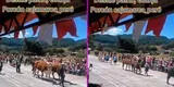 Desfile en Cajamarca con animales sorprende en redes durante Fiestas Patrias
