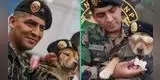 'Chato' el perrito policía que se robó miradas en la Parada Militar y es viral en las redes