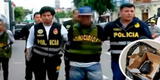 Ministerio Público: dictan cuatro prisiones preventiva contra seis asaltantes de Carabayllo