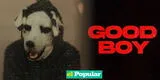 ‘Good Boy 2023’: ¿cuándo se estrena la película del hombre disfrazado de perro y dónde verlo ONLINE GRATIS?