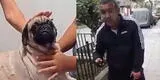 Ministerio Público investiga a sujeto que acuchilló a una perrita en La Victoria