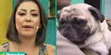 Karla Tarazona indignada tras ataque a perrito pug: "Así como tratas a tu mascota, ¿cómo tratas a las personas?"
