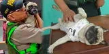 Asap, mascota maltratada por su amo, es adoptada por la comisaría de Chacra Colorada