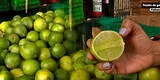 Comerciantes ofrecen limón colombiano a S/ 10 el kilo: ¿Cuál es la diferencia con el peruano y dónde comprarlo?