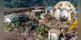 Fuerte tormenta en Brasil dejó una oveja colgada en los cables eléctricos
