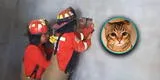 Arequipa: bomberos rescatan con vida a gato que quedó atrapado entre dos viviendas por más de 20 días