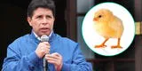 Pedro Castillo: IA traduce al inglés la historia del “pollo vivo o muerto” que contó durante una ceremonia