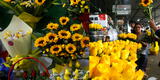 ¿Cuánto cuestan las flores amarillas o un girasol en el Mercado de Flores del Rímac?