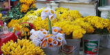 Estas son las flores amarillas que podrías regalar este 21 de septiembre aparte de los girasoles