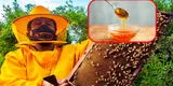 Piura: 11 mujeres emprendedoras comercializan miel de abeja con el programa Agroideas del Midagri