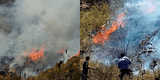 Piura: Incendio forestal lleva 3 días en llamas y va destruyendo más de 1500 hectáreas