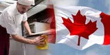 Canadá en la búsqueda de personal para trabajos con sueldos de hasta 2 000 dólares: postula AQUÍ