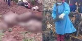 Cusco: Esposos con sus 26 ovejas y su gato mueren calcinados al ser alcanzados por fulminante rayo