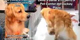 ¡Indignante! Empleado de veterinaria en Jockey Plaza es acusado de golpear a perro y dejarlo cojo