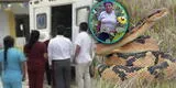 Puno: mujer muere tras ser mordida por serpiente cuando cortaba la maleza en su chacra de Sandia