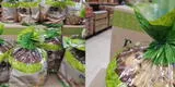 Va al supermercado sin imaginar que hallaría panetón ‘incompleto’ y es viral en TikTok: “Tenía hambre”