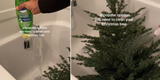 'Baña' a su árbol de Navidad y recibe duras críticas en TikTok: "Algunas personas tienen tanto tiempo"
