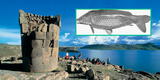 Puno: Reportan increíble hallazgo de pez depredador de África en el lago Titicaca