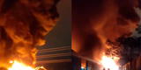 Incendio en Lurín: ¿Cuáles serían las causas que originaron el gigantesco siniestro?