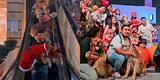 Hacen desfile de perros raza Golden retriever por Navidad y es viral en TikTok por el alto grado de ternura