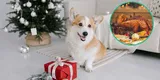 Mascotas: Evita darle esto a tu perro en Navidad