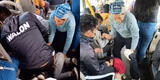 "Solo en perusalem": cuyes se escapan dentro de un colectivo y pasajeros se unen para atraparlos