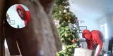 "El auténtico Grinch": Ladrón es captado robando los regalos debajo del árbol de Navidad