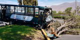 Arequipa: Chofer genera dos accidentes en Navidad y termina estrellándose con un árbol