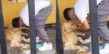 Piero Quispe, con lágrimas en los ojos, se despide de su perro para viajar a México y conmueve a miles
