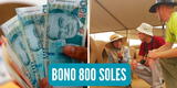¿Quiénes pueden recibir el Bono de 800 soles en el 2023 en Perú?