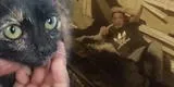 Callao: gatita es grabada siendo torturada por su dueño y él asegura que fue una “broma”