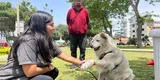 Pueblo Libre: darán clases gratuitas a niños sobre adiestramiento de mascotas