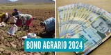 ¡Bono Agrario 2024 en Perú! Descubre si recibirás hasta 7,447 soles de subsidio este año