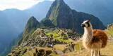 Machu Picchu: estas son las claves para una exitosa compra de entradas al suantuario histórico